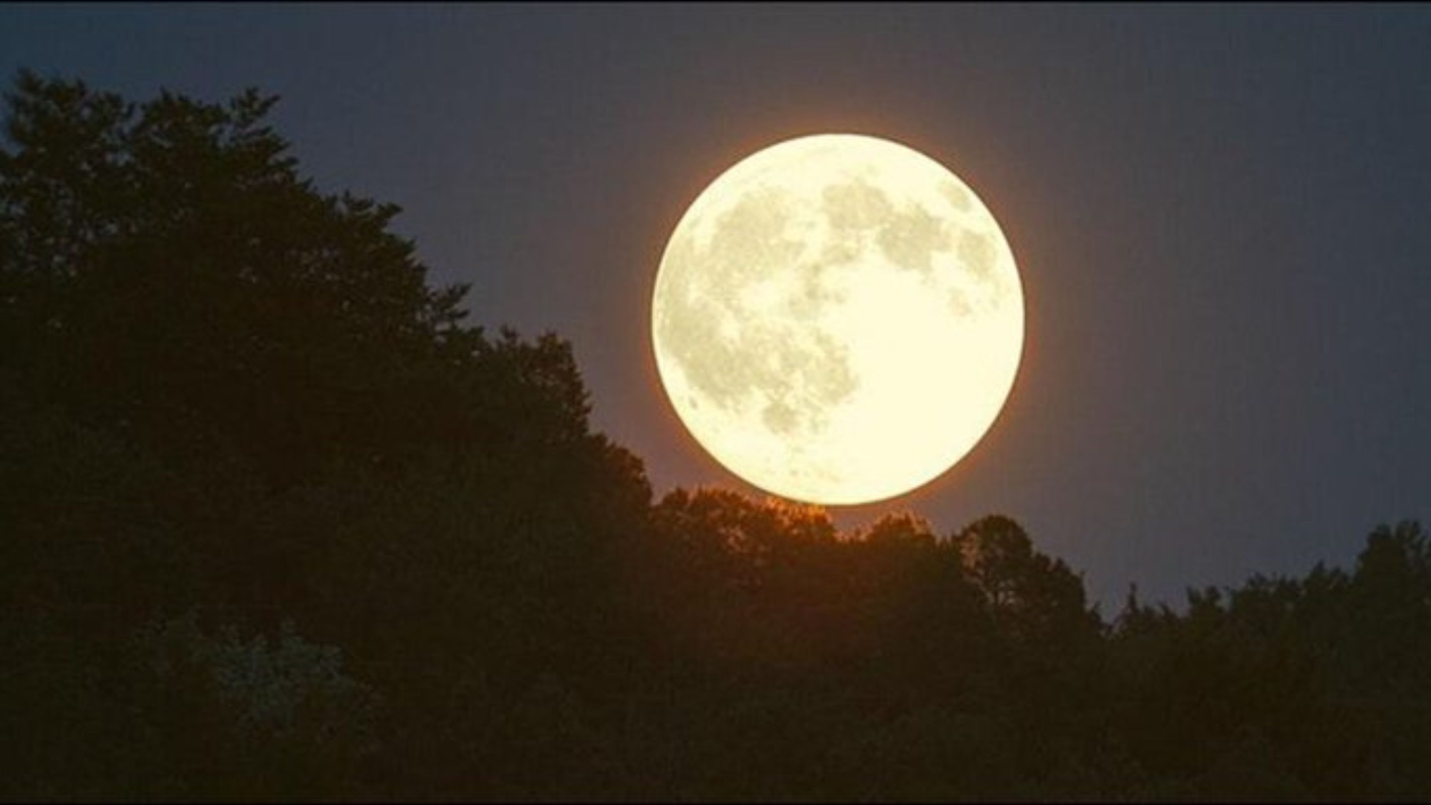 First, Brightest Supermoon of 2025 to Light Up Jordan’s Sky Tuesday