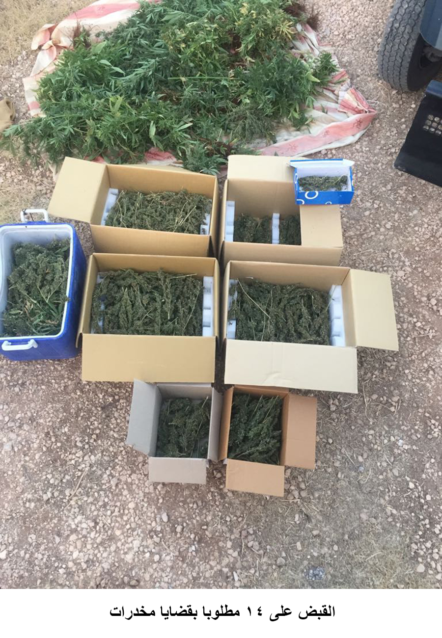 القبض على 14 مطلوبا بقضايا مخدرات &lt;br&gt;