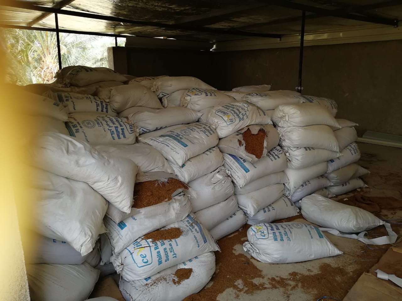 الجمارك تضبط مزرعة تبغ مساحتها أكثر من 200 دونم و 70 طنا من مستلزمات انتاج السجائر&lt;br&gt;