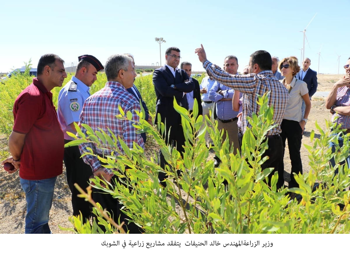وزير الزراعة يتفقد مشاريع زراعية في الشوبك &lt;br&gt;