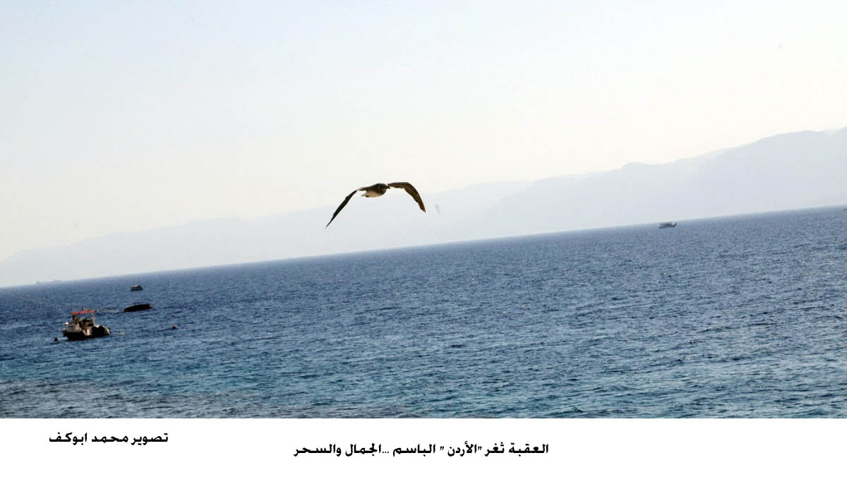 العقبة ثغر &quot;الأردن &quot; الباسم ...الجمال والسحر 