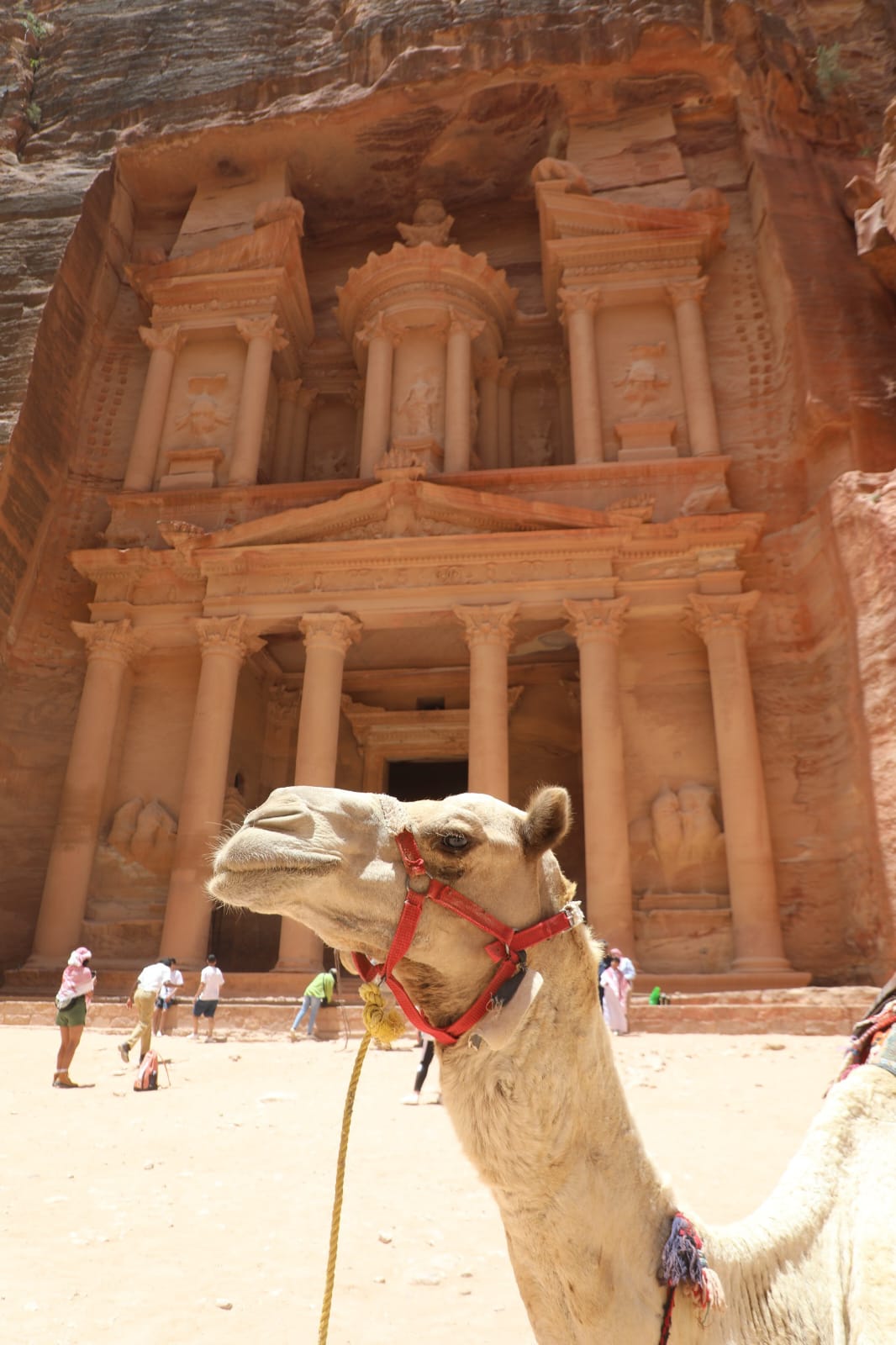 مدينة البترا الوردية مقصد للسياح من كافة أنحاء العالم تصوير: محمد ابو كف