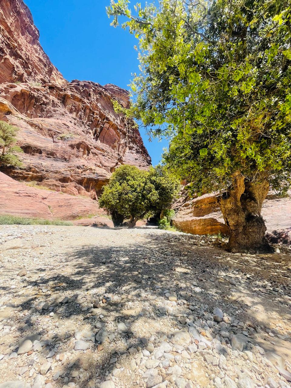 مدخل سيق بعجة في مدينة البترا .. سحر أردني كبير