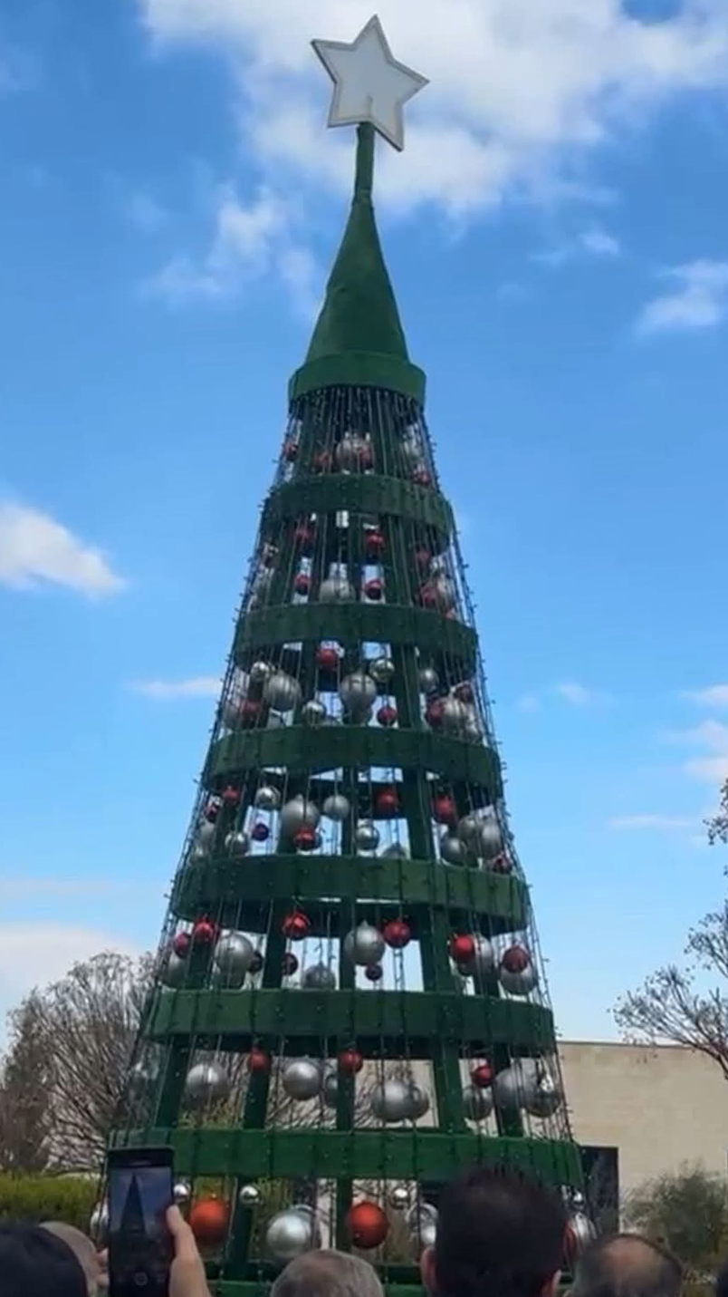 إضاءة شجرة عيد الميلاد في الجامعة الأميركية في مادبا 