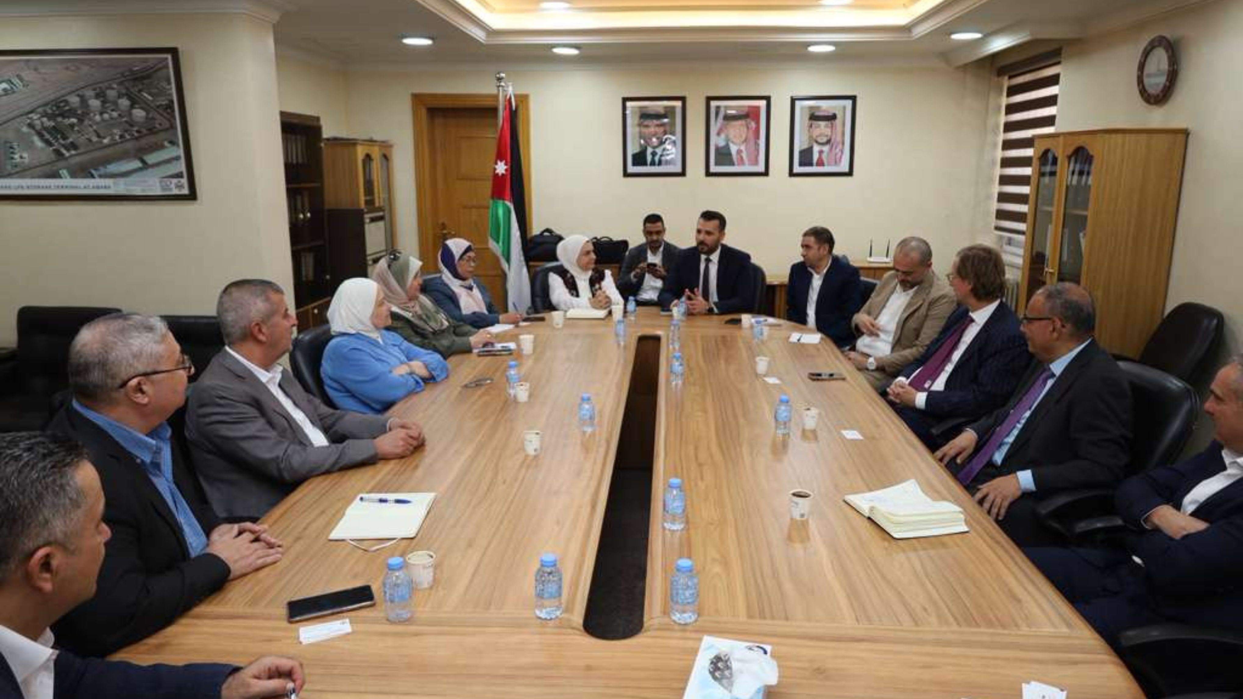  الأردن وألمانيا يستعرضان فرص الاستثمار في مجال الطاقة